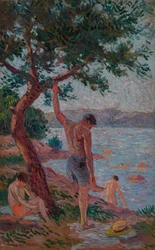 Saint-Tropez, baigneurs sous la pinède