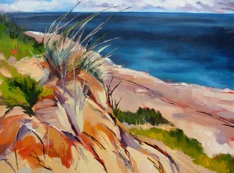 Herbes de plage et dunes
