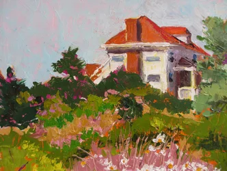 Maisonnette de jardin colorée