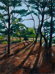 Sentier forestier « Longues ombres »