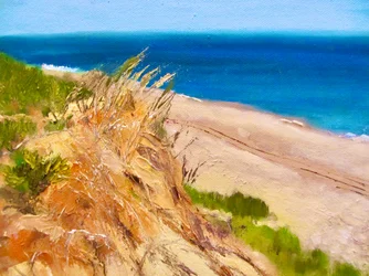 Une vue paisible sur la côte