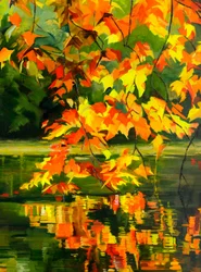 Reflet d
