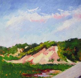 Paysage de dunes aux couleurs vives