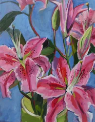 Des lys rose vif