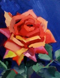 Fleur de rose éclatante