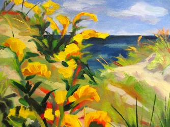 Fleurs des dunes jaunes