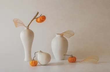 Élégante nature morte d