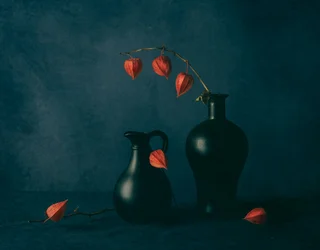 Physalis mélancoliques