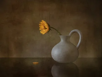 Fleur jaune mélancolique