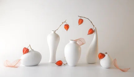 Nature morte aux physalis orange