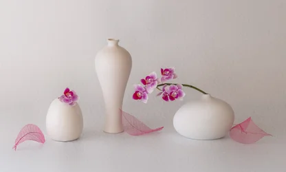 Nature morte aux orchidées roses