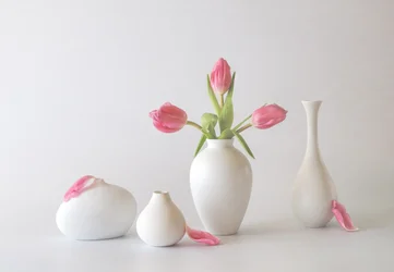 Des tulipes roses dans des vases