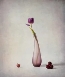 Nature morte aux tulipes violettes