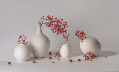 Baies rouges, vases blancs
