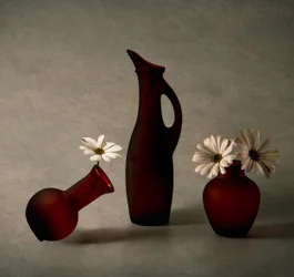 Vases rouges et marguerites blanches