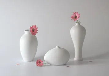 Vases floraux sereins