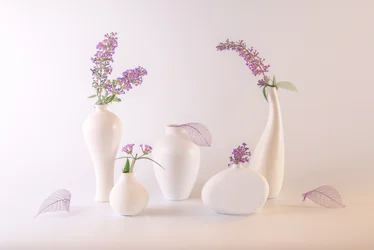 Vases blancs et fleurs de lavande