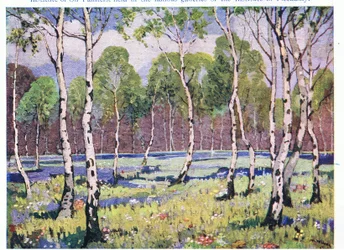 Bois de printemps