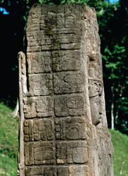 Détail d