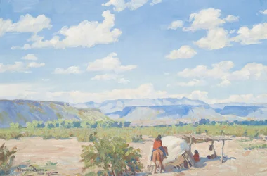 Terre Apache