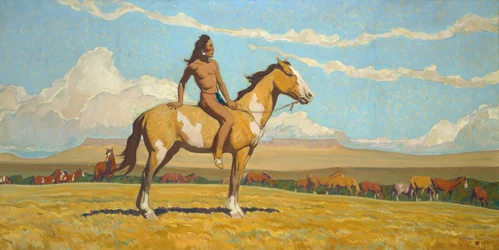 Le garçon poney
