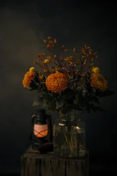 Éclat des fleurs d
