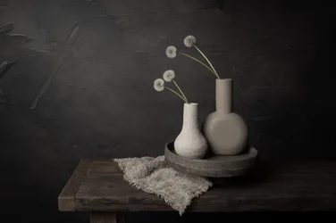 Vases floraux minimalistes