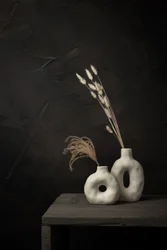 Vases organiques et plantes séchées