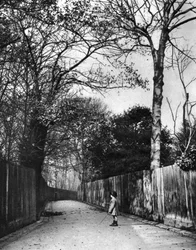 Automne à Holland Walk, Londres, 1926-1927