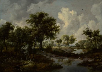 Paysage boisé