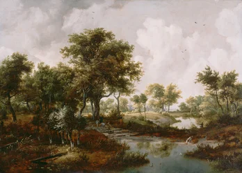 Paysage boisé