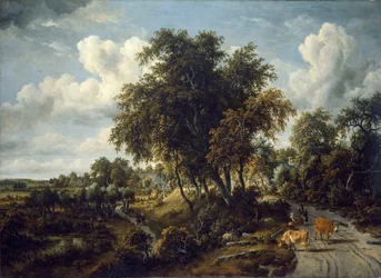 Paysage boisé : le chemin sur la digue