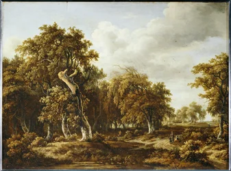 La foret de chenes …