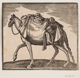 Cheval lourdement chargé