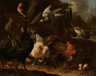 Oiseaux dans un parc