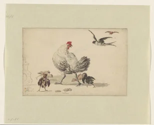 Deux hirondelles et une poule avec quatre poussins