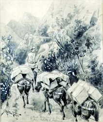 Trekking, train de marchandises à dos de mule de Cabello à Valence