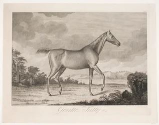 Le cheval "Gentle Kitty"