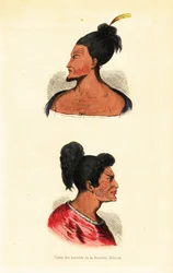 Busts d