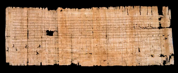 Période mérovingienne : document juridique manuscrit sur papyrus confirmant le privilège d