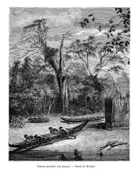 Pirogue de pêche, Papouasie, 19e siècle