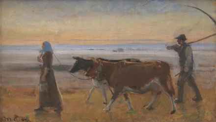 Vaches conduites à travers la lande
