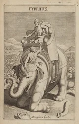 Pyrrhus, général et homme d
