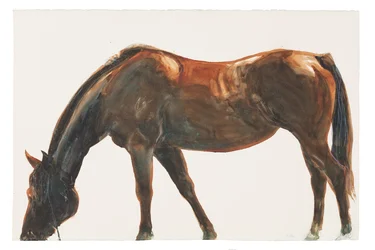 Sans titre, 2018