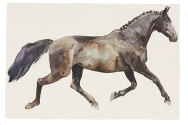 Sans Titre, 2018