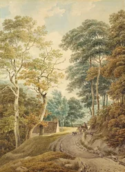 Un chemin près de Hindhead
