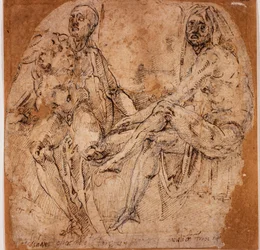 Études de nus