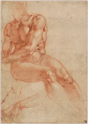 Jeune homme assis et deux études de bras (recto), vers 1510-11