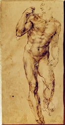 Étude d