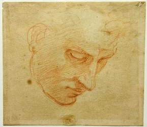 Étude de tête pour le plafond de la chapelle Sixtine, vers 1509-1510
